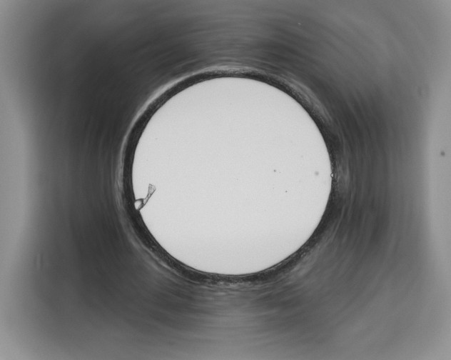 X0000115070484200911241125