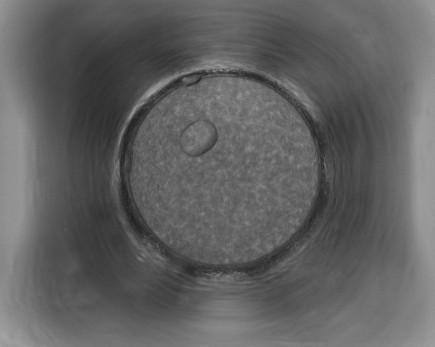 X0000115070488200911241125