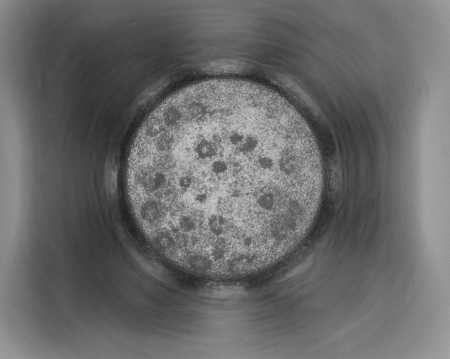 X0000115070491200911241125