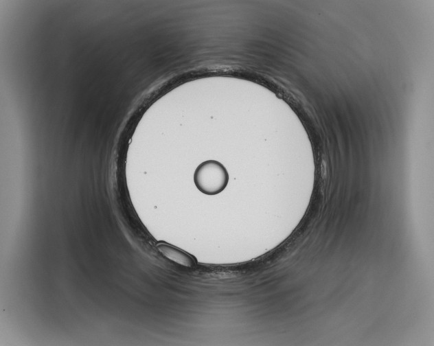X0000115070492200911241125