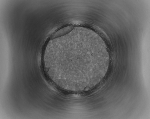 X0000115070496200911241125