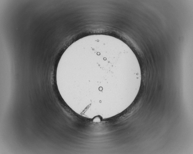 X0000115070497200911241125