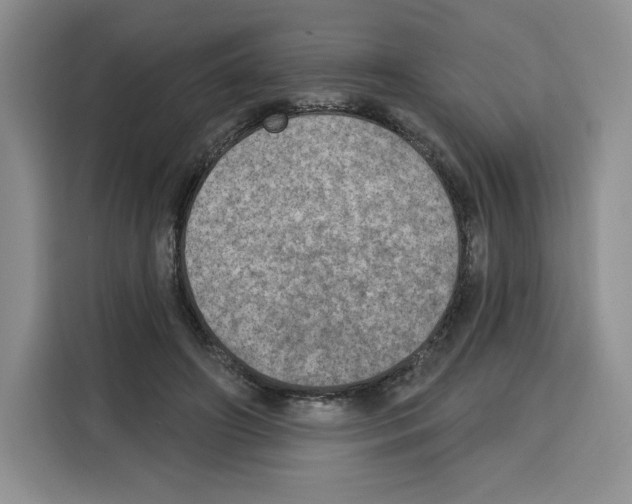 X0000115070498200911241125