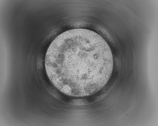 X0000115070499200911241125