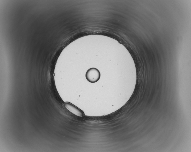 X0000115070500200911241125