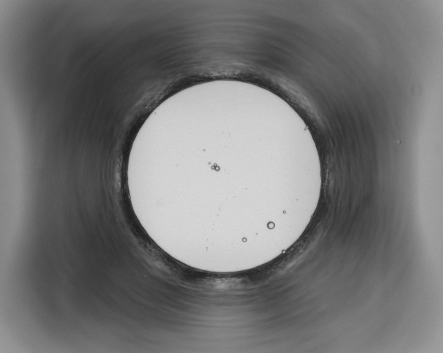 X0000115070501200911241125