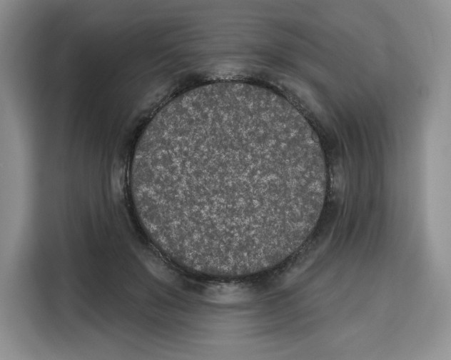 X0000115070503200911241125