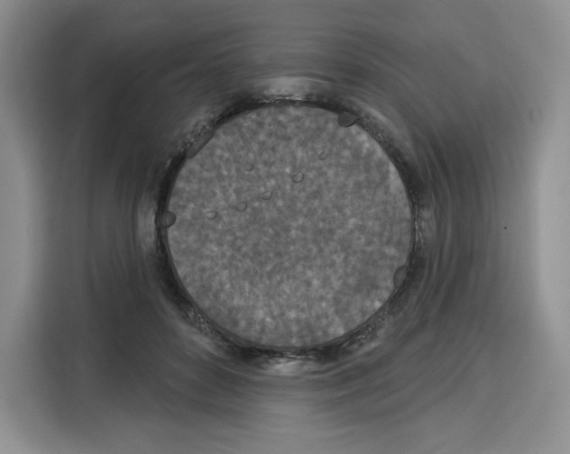 X0000115070504200911241125
