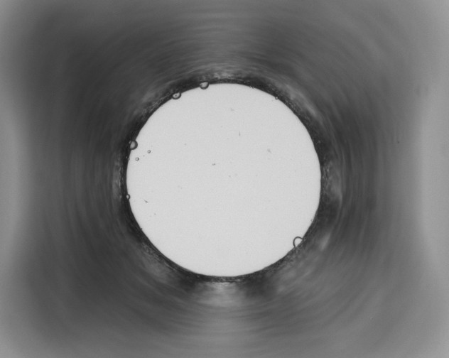 X0000115070509200911241125