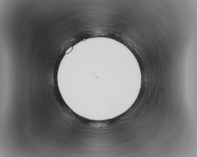 X0000115070512200911241125