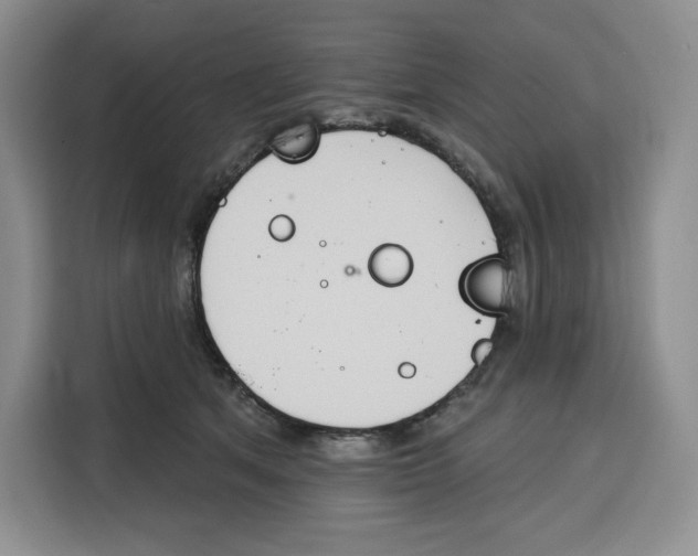 X0000115070513200911241125