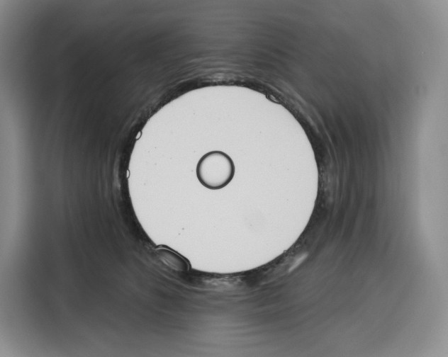 X0000115070516200911241125