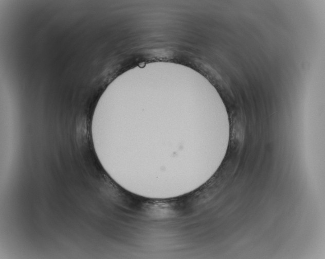 X0000115070518200911241125