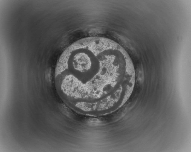 X0000115070519200911241125