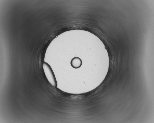 X0000115070520200911241125