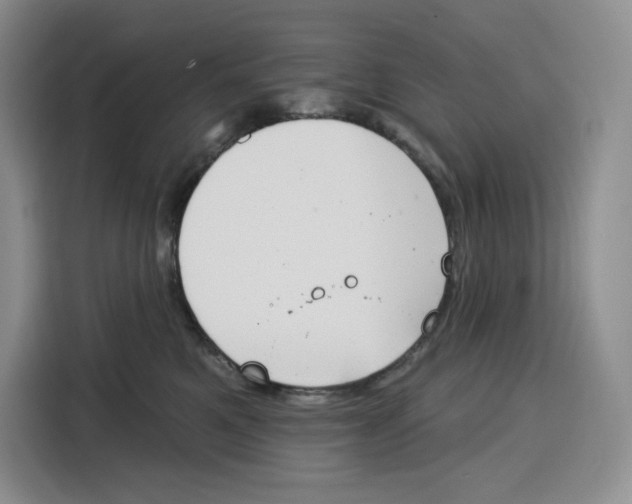 X0000115070521200911241125