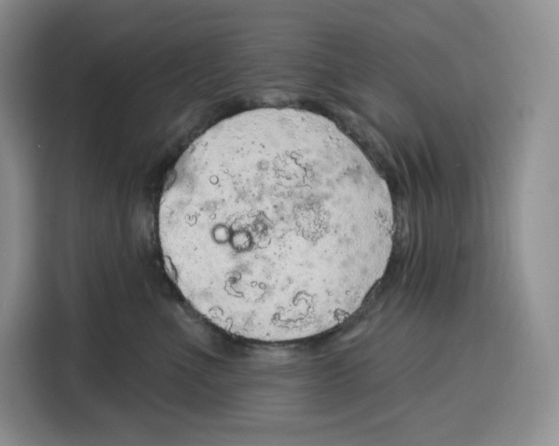 X0000115070523200911241124