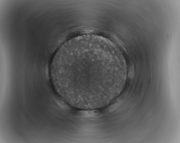 X0000115070524200911241124