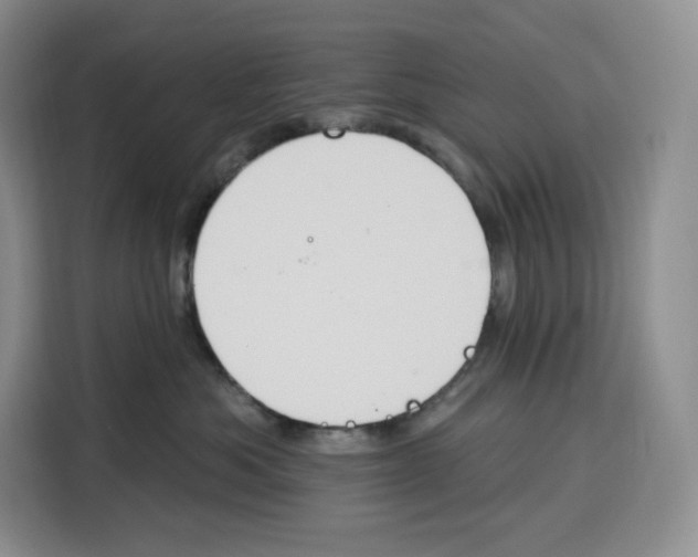 X0000115070525200911241124