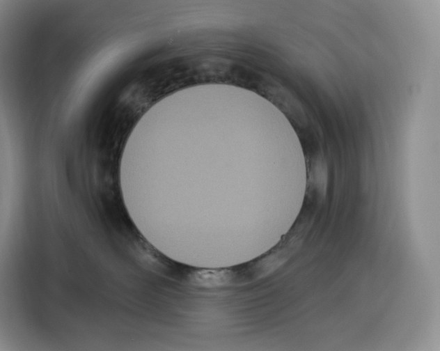 X0000115070526200911241124