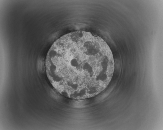 X0000115070527200911241124