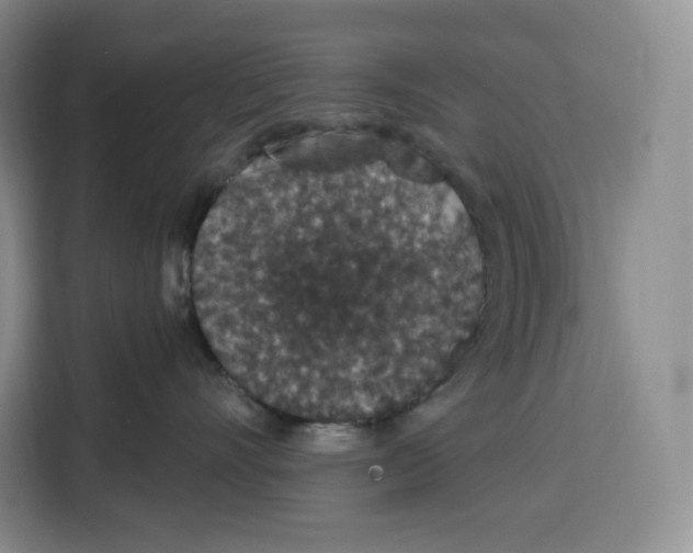 X0000115070528200911241124