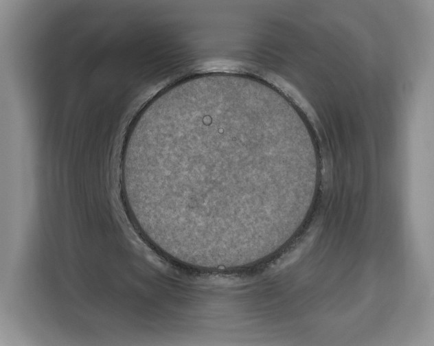 X0000115070529200911241124