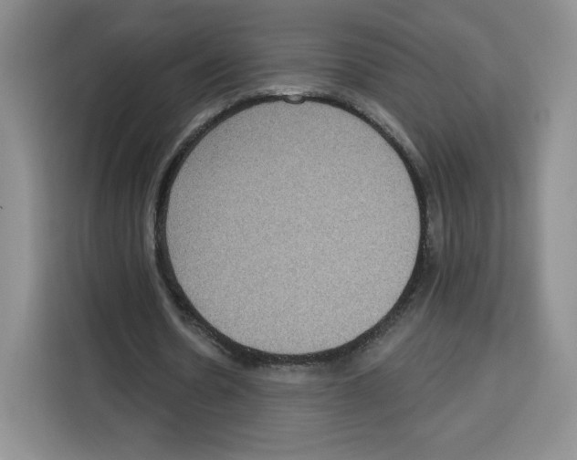 X0000115070530200911241124