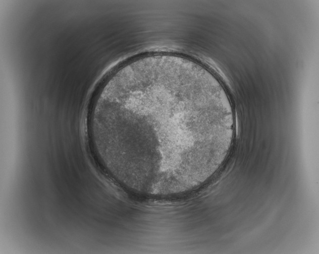 X0000115070531200911241124