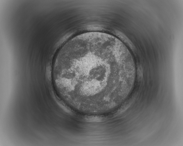 X0000115070533200911241124
