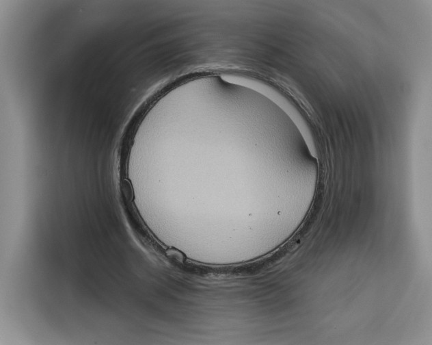 X0000115070534200911241124