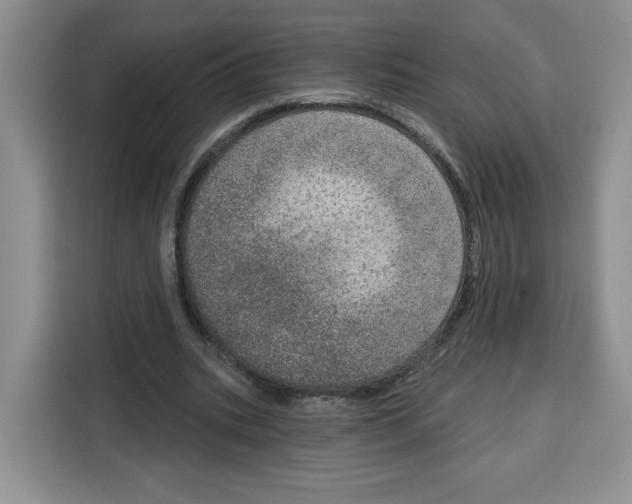 X0000115070535200911241124
