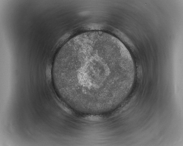X0000115070537200911241124