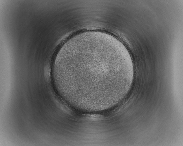 X0000115070539200911241124