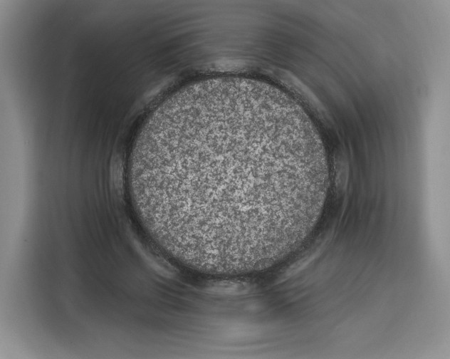 X0000115070542200911241124