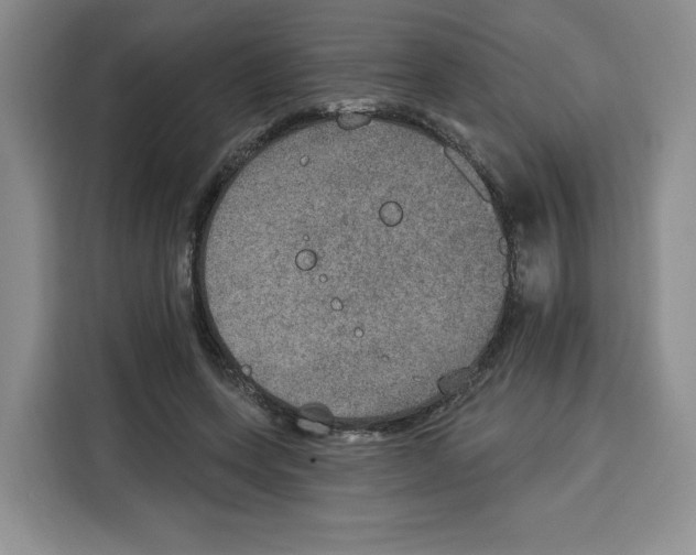 X0000115070543200911241124