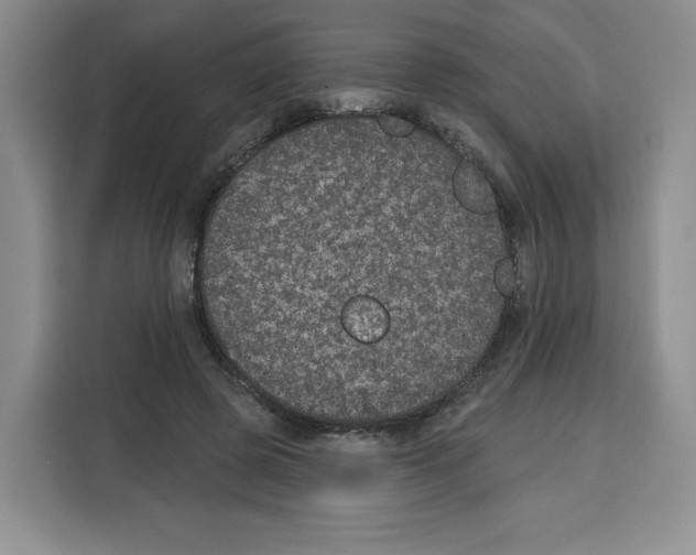 X0000115070545200911241124
