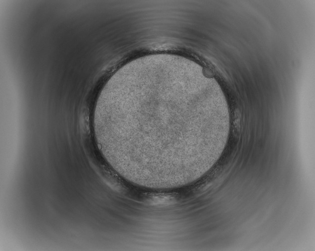 X0000115070547200911241124