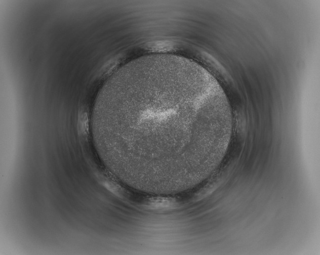 X0000115070549200911241124