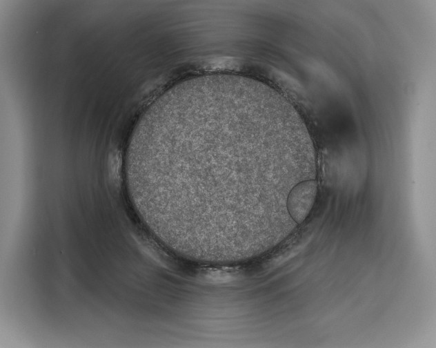 X0000115070550200911241124
