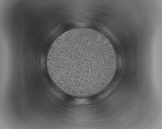 X0000115070557200911241124