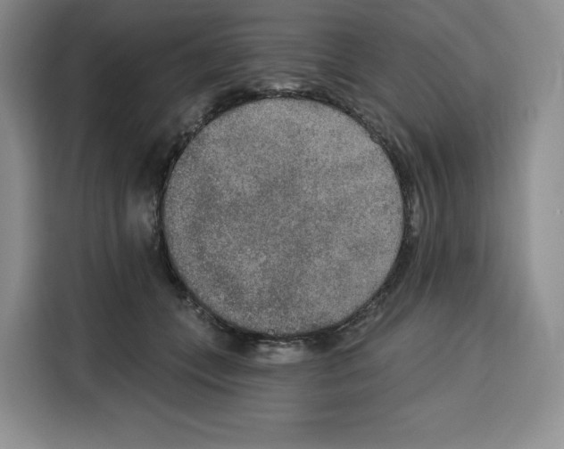 X0000115070559200911241124