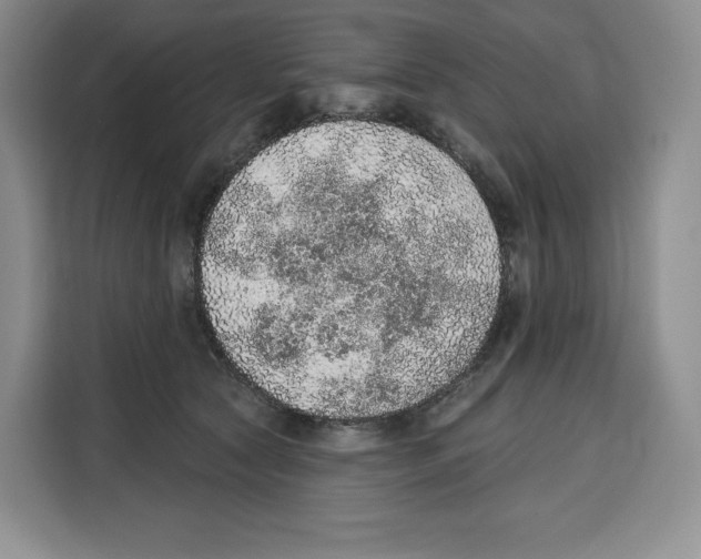 X0000115070561200911241124