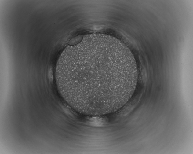 X0000115070562200911241124