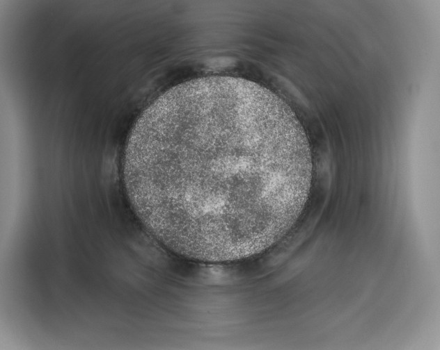 X0000115070565200911241124