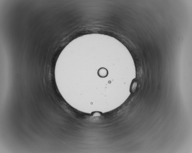 X0000115070566200911241124
