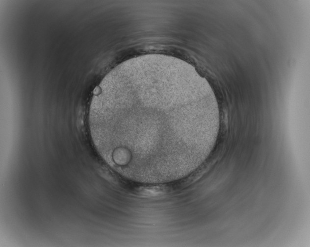 X0000115070567200911241124