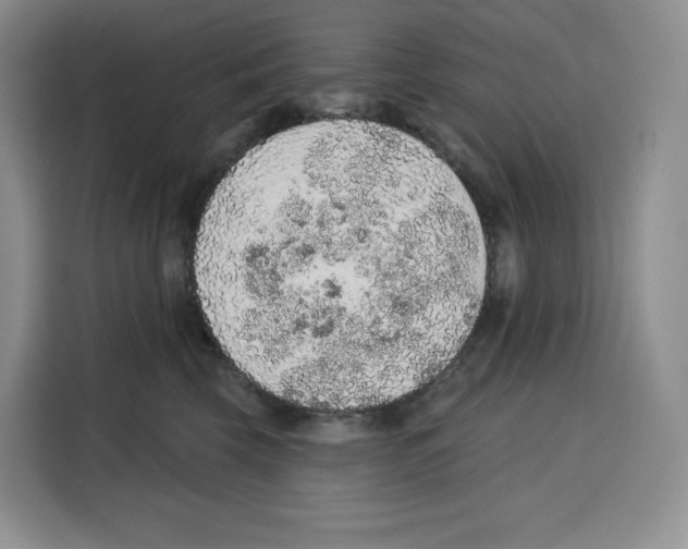 X0000115070569200911241124