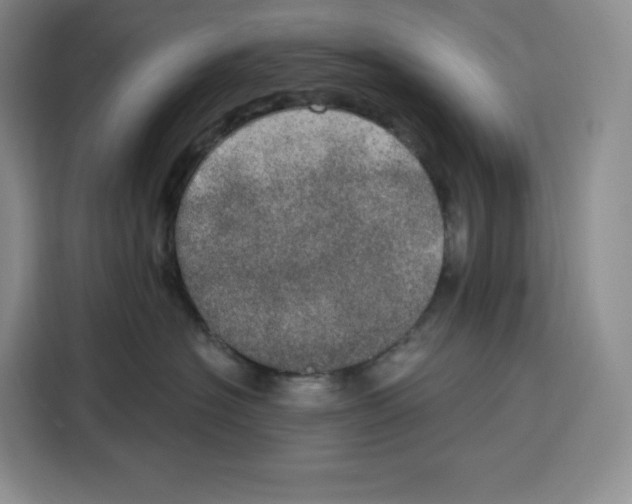 X0000115070574200911241124