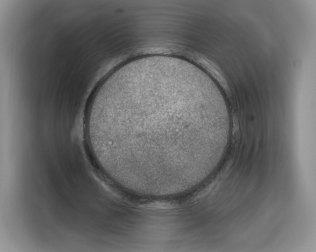 X0000115070578200911241124